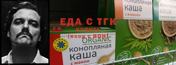 ГАЛЛЮЦИНОГЕННЫЕ ГРИБЫ Надым