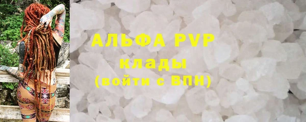 ГАЛЛЮЦИНОГЕННЫЕ ГРИБЫ Надым