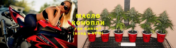 стаф Зуевка