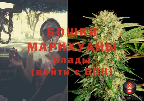 ГАЛЛЮЦИНОГЕННЫЕ ГРИБЫ Надым