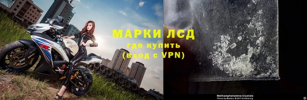ГАЛЛЮЦИНОГЕННЫЕ ГРИБЫ Надым